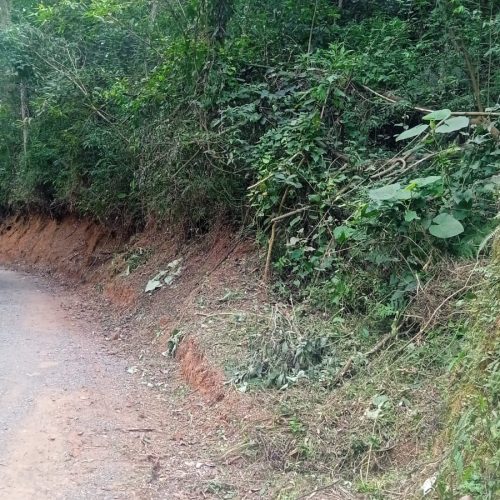 Rua Limpa