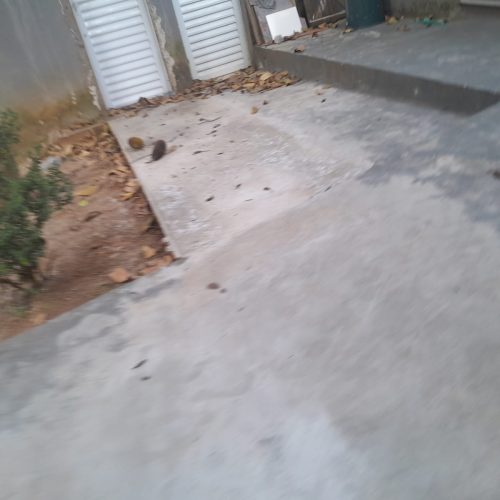 WhatsApp Image 2026-04-25 at 06.59.03 (2)